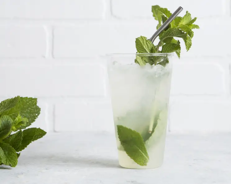 Basic Mojito Ingredients